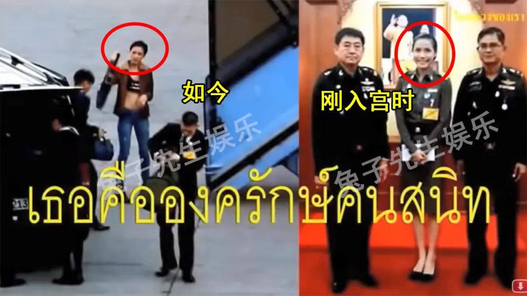 德国|诗妮娜回德国派头不小，8辆奔驰车护送，几十名帅气保镖下跪行李