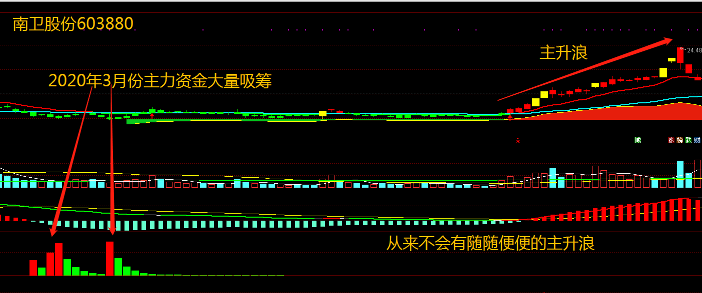 南卫股份603880