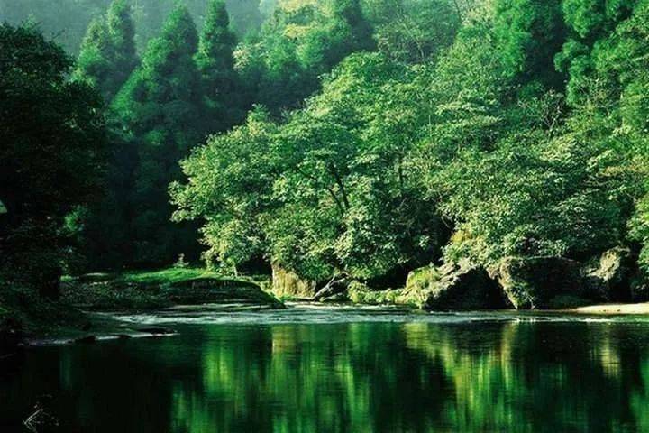 天网恢恢”的本意并不是针对犯罪分子，而是另有深意