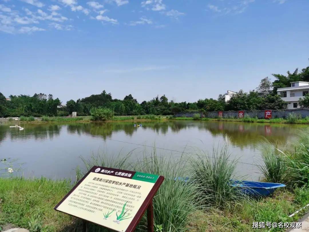 池塘|强！四川这所学校专门给学生们建了一个食材基地！
