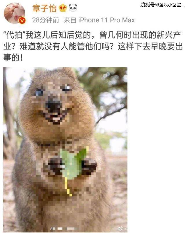 文章配图