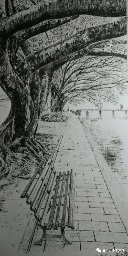 旅游达人蒋忠军:情迷黑白钢笔画,5年"手绘"了200幅温州风景图