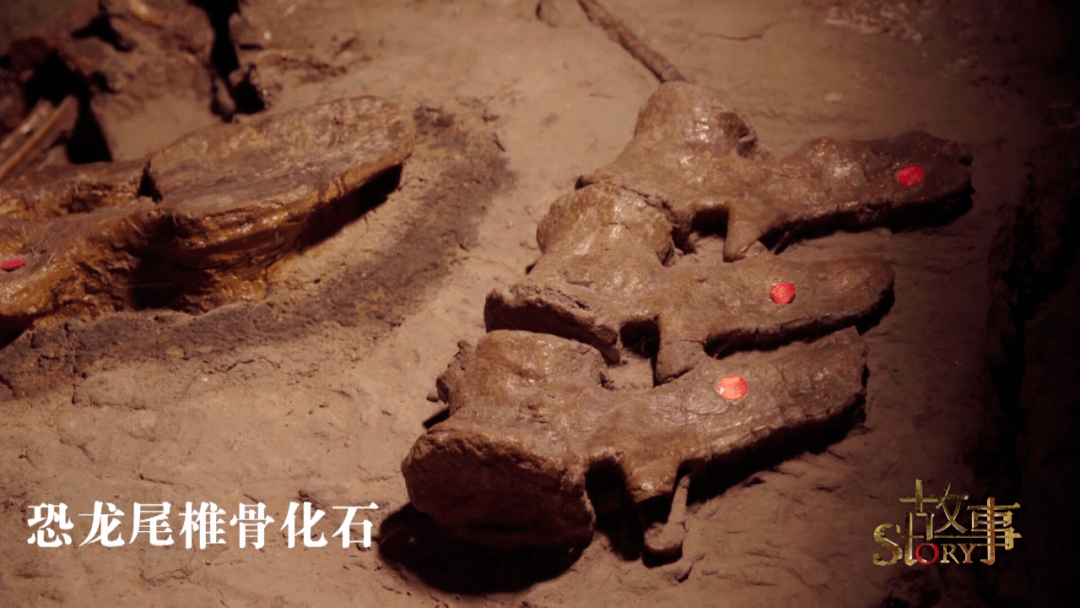 中国|中国“神奇灵武龙”,究竟因何而神奇？