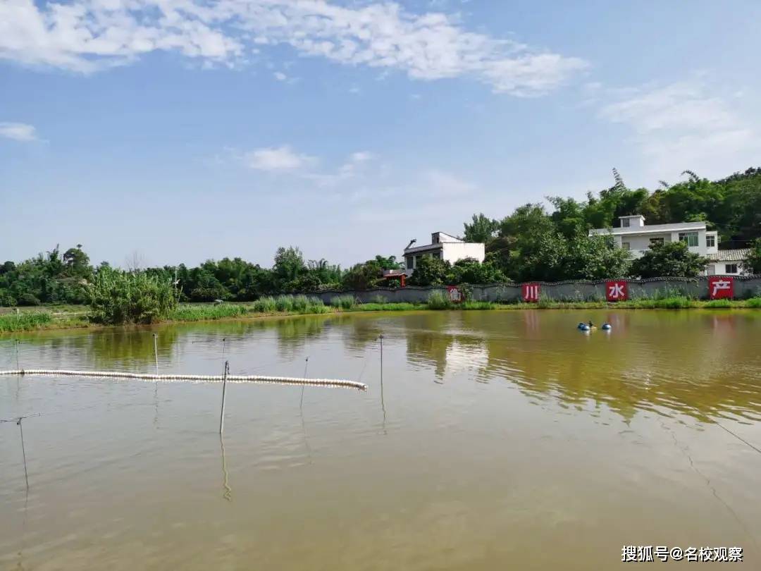 池塘|强！四川这所学校专门给学生们建了一个食材基地！