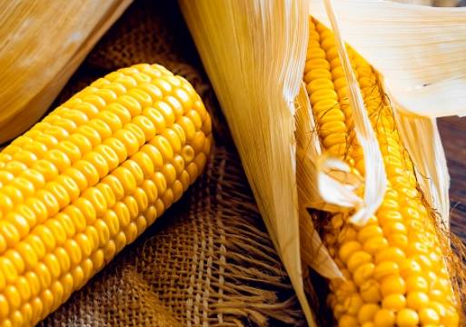 营养品|十块钱两三个，每天一杯，40岁还是少女脸此物是天然的营养品