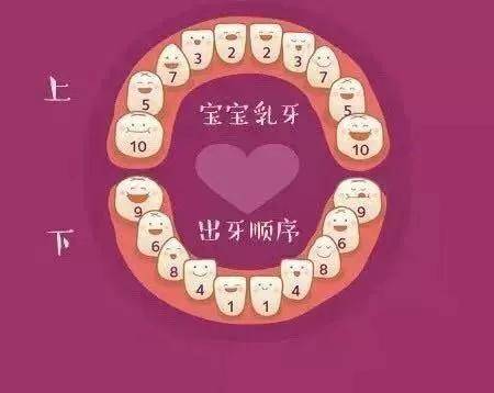 牙齿|宝宝多大长牙正常?