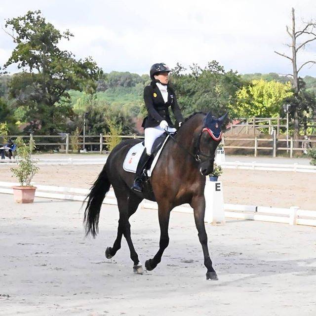 Siri|泰王二公主太飒了！在法国参加赛马，国王爸爸却在德国喜迎诗妮娜