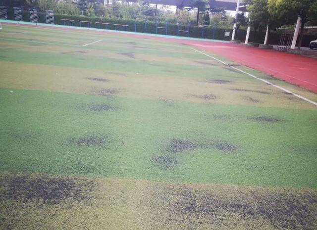 修缮|开学在即，上海这3所学校大改善！快来看看你家学校变了吗