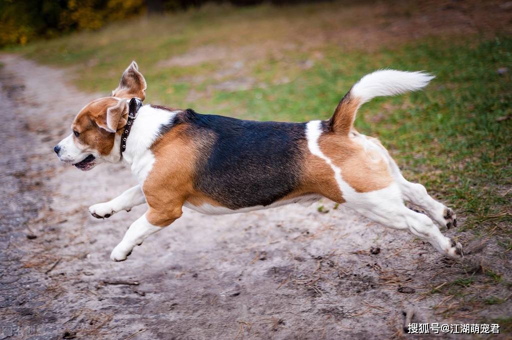 85d09c6acd5f46708023c27c7fcbd4ea.jpeg