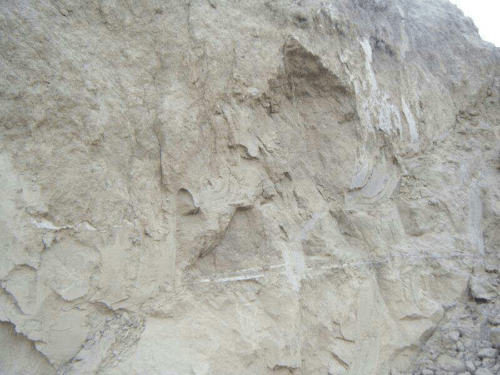 安特生|五千年遗址话沧桑—记陇西文峰暖泉山遗址