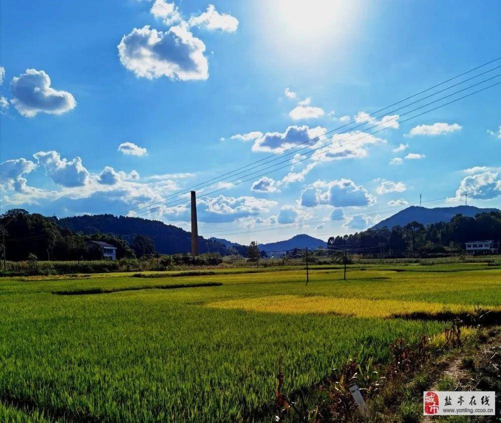 看图猜成语煮沸水农民晒谷_看图猜成语(3)