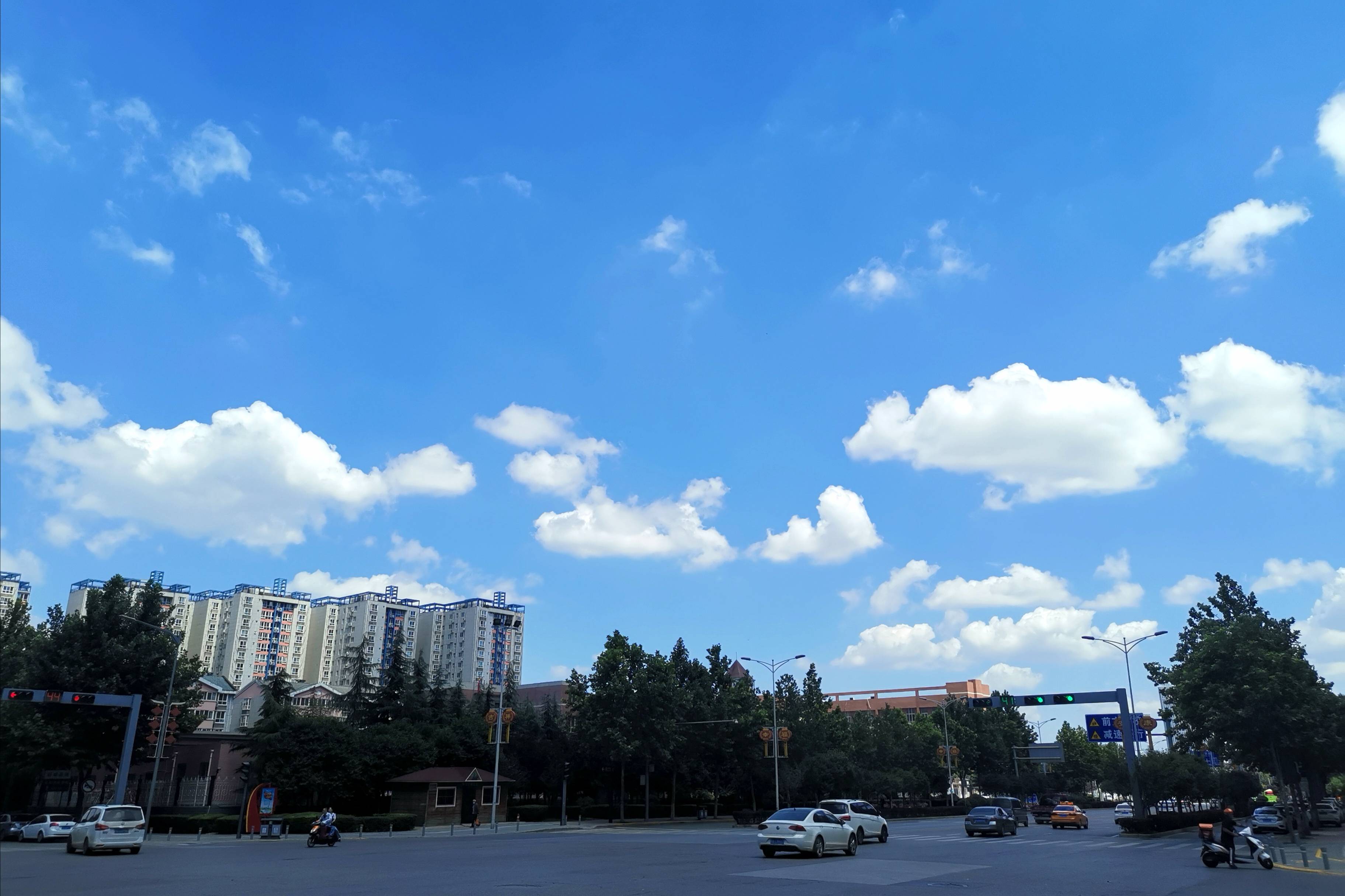 浐灞(|西安蓝里的浐灞，鹭鸶嬉戏，花草灿阳，留下湿地美幻时光