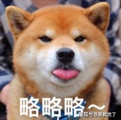 笑到你肚子痛的11个短笑话！