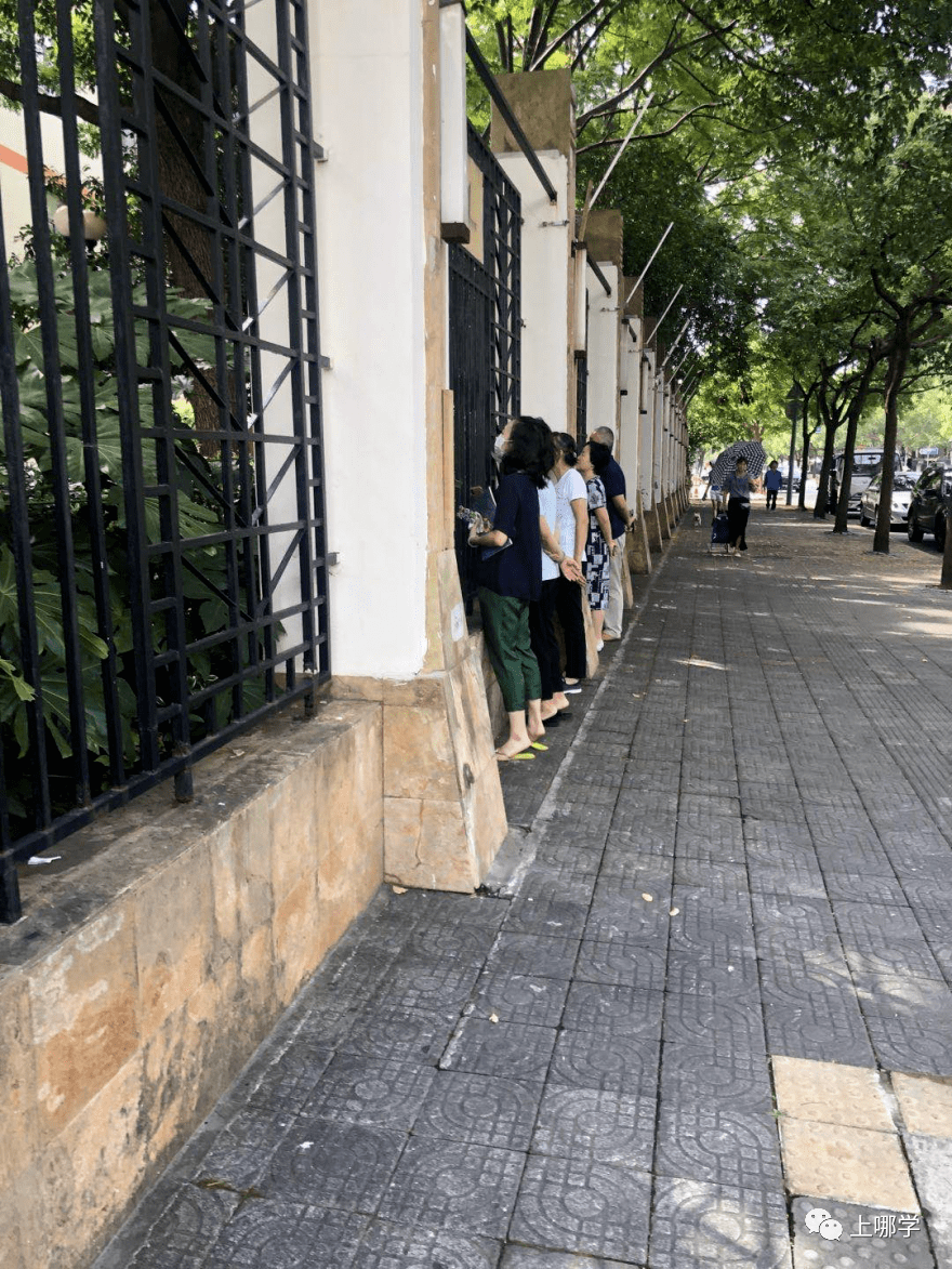 家长|神兽归笼现场！上海150万小学生今天开学！妈趴窗，爹爬树，场面过于激动~