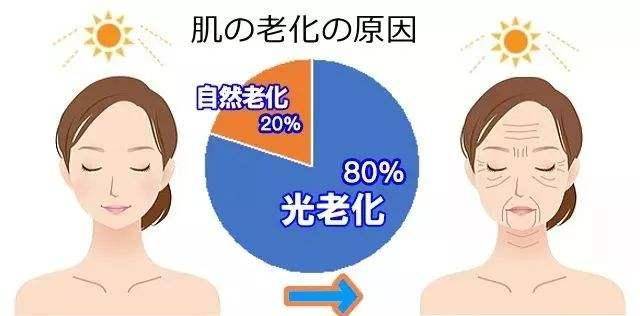 35803c46bd62449aa75e566fcf70eac0.jpeg