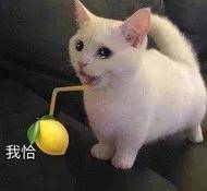 供养|没了红气供养的范冰冰眼里星光黯淡，复出之路还接遭网红拉踩？
