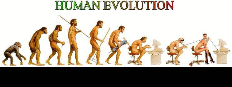 Portone|2千元内的人体工学椅如何选？附冈村Portone体验