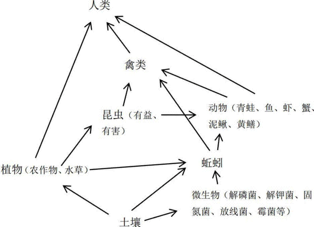 原创 09-03 19:52 订阅 地球万物都存在一定的关系,老鼠在食物链之