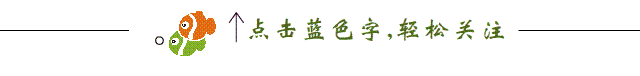 【milan米兰】
【专栏诗人】《那年 那月 谁人象我母亲的女人》文/枫樯 (河北）(图3)