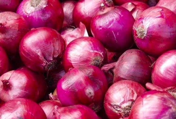 洋葱的功效与作用能长期吃吗 8f8ac386eddf4ea0bb9a3a39954039ea.jpeg