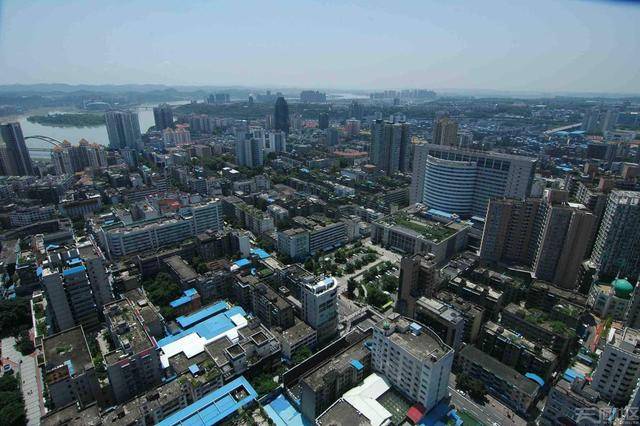 洛阳gdp2020上半年_2020洛阳限号区域图(3)