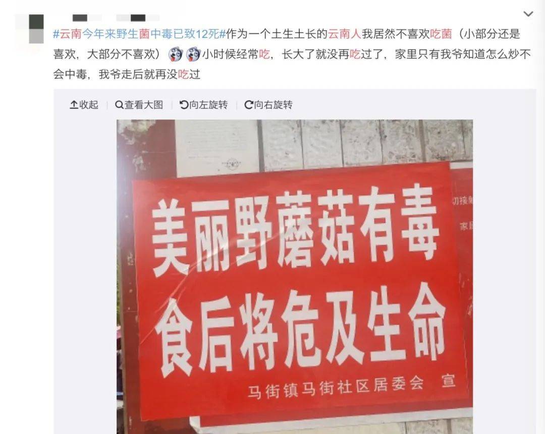 想跟着当地老饕们吃野生菌,别轻易尝试他们口中信誓旦旦说没毒的毒