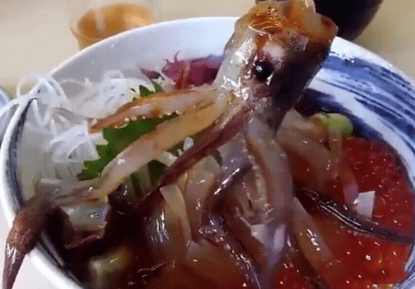 d14a7b628a494d549d3194551edec5f2.png