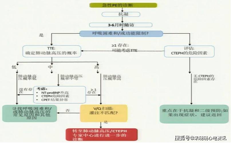 急性肺栓塞诊疗要点