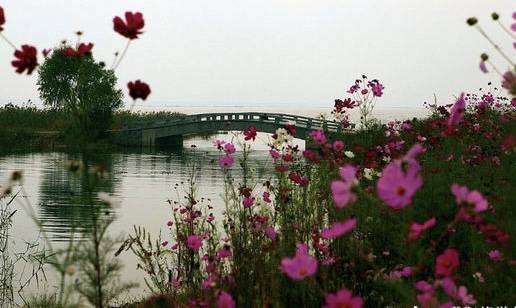 江苏地级市比西部经济总量_江苏地级市区划图(2)