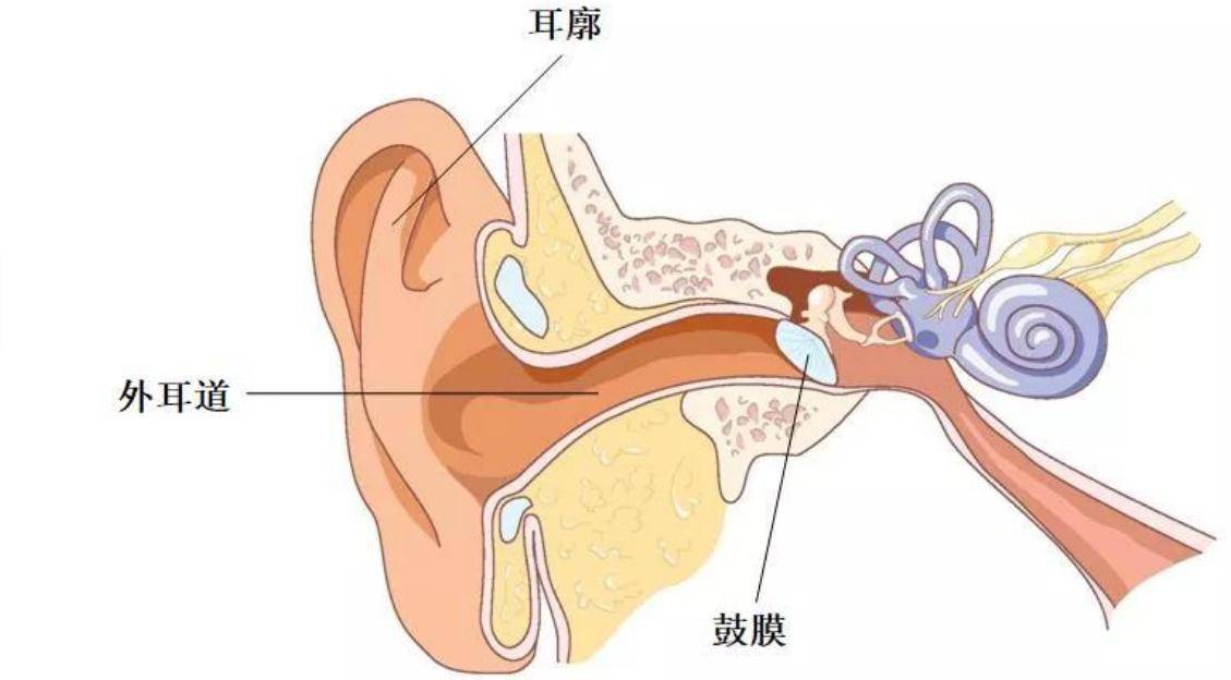 耳屎|耳屎太多影响宝宝听力？如何正确给娃“掏耳朵”？家长可别瞎勤快