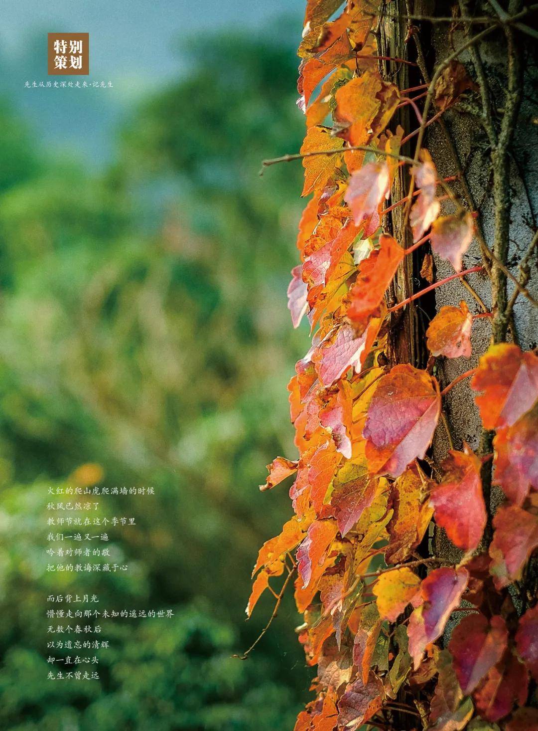 教育|先生从历史深处走来 | 教师节特别策划