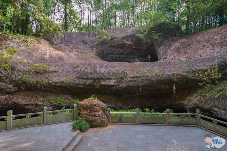 地下|多年前,龙游人在水塘发现了地下奇观,从此世界多了一个未解之谜