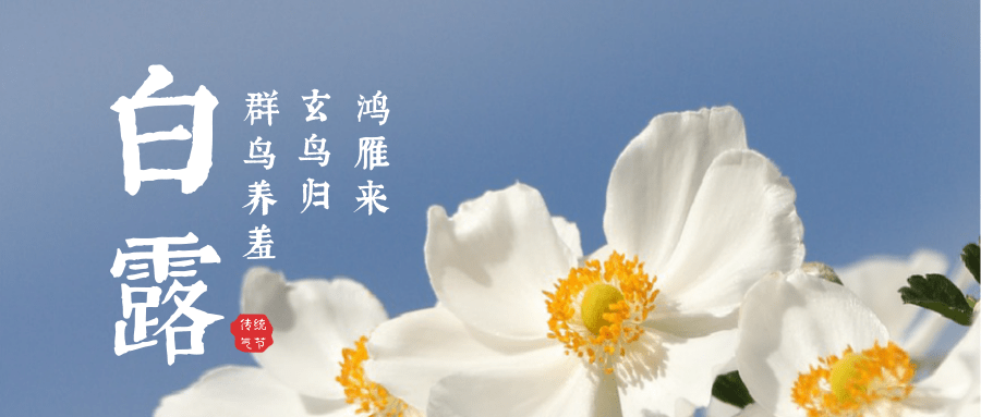 bbb3112c6c324938bde6a1105d83b4bc.png