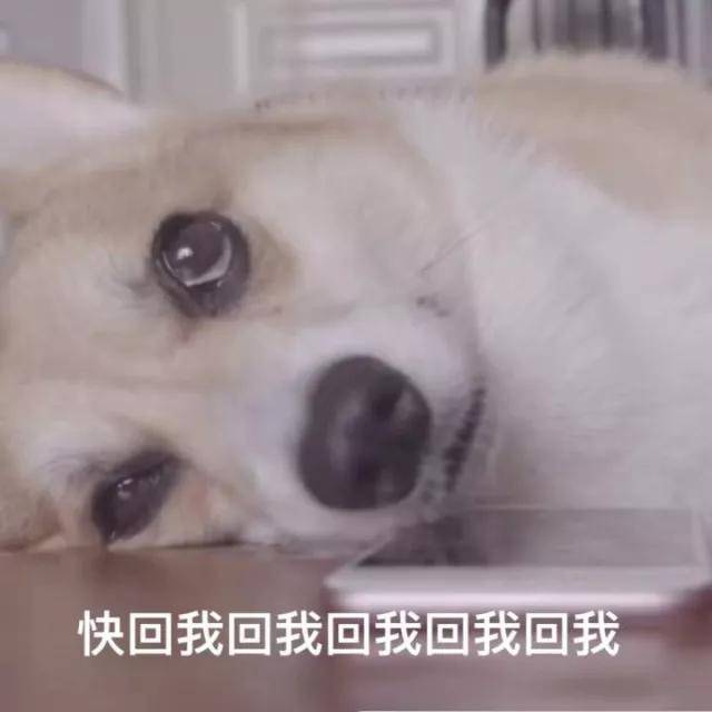 cfff48a0d5904e219bd1e9f76d4d894c.jpeg