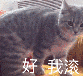 13ce7ade4a28403bb6284729b8e4adcc.gif