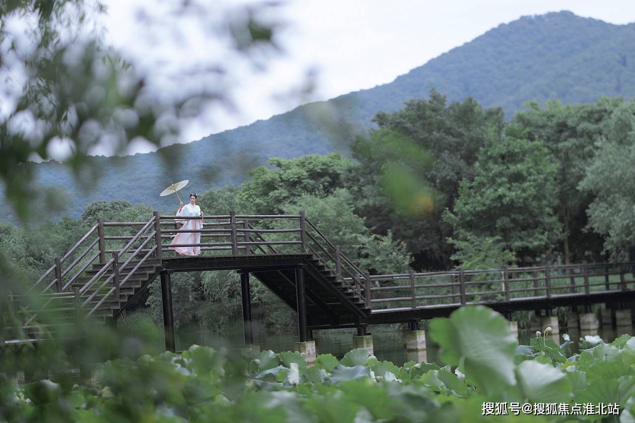 嘉兴王江泾镇经济总量_嘉兴王江泾镇规划图(2)