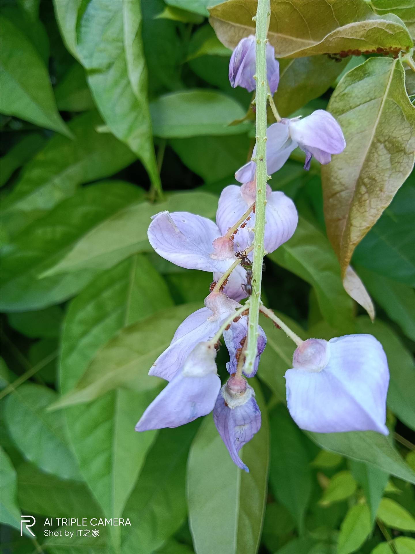 realme|realme 真我 V3 上手体验：当 999 遇上 5G