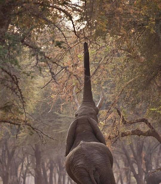 绝望看图猜成语_看图猜成语(3)
