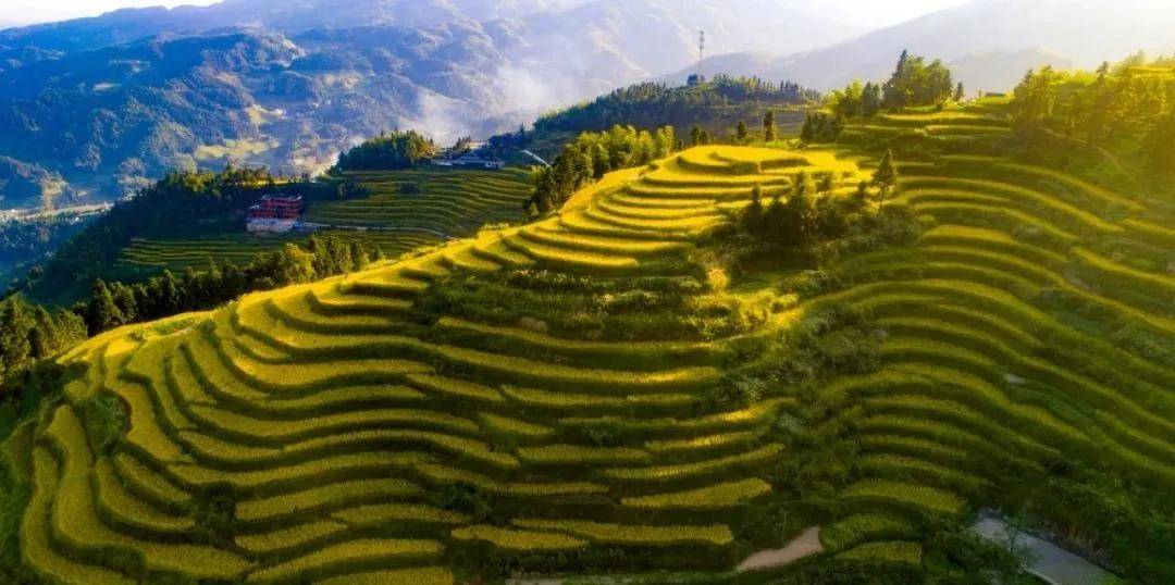 紫鹊界|湖南省首届乡村文旅网红大赛总决赛即将在紫鹊界火爆开启