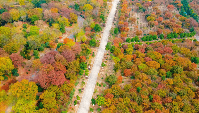 高邮gdp2019年_高邮咸鸭蛋