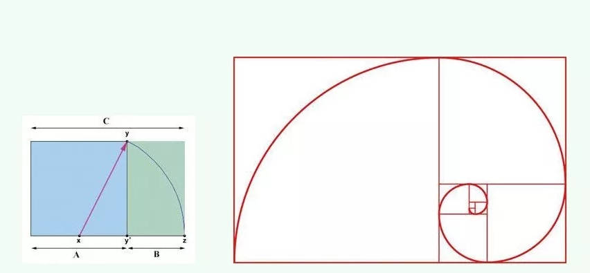 黄金分割定律的原理是什么_墨菲定律是什么效应(3)