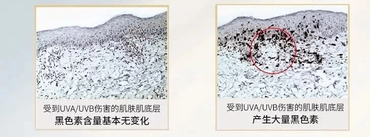 绿茶|节目自曝想当绿茶？她低调十年再度翻红挑战新角色...