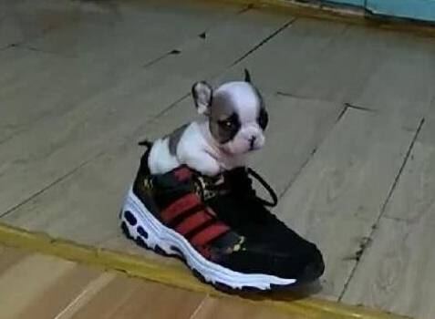 f2885478432c4c39815733d6a58a8cc7.jpeg