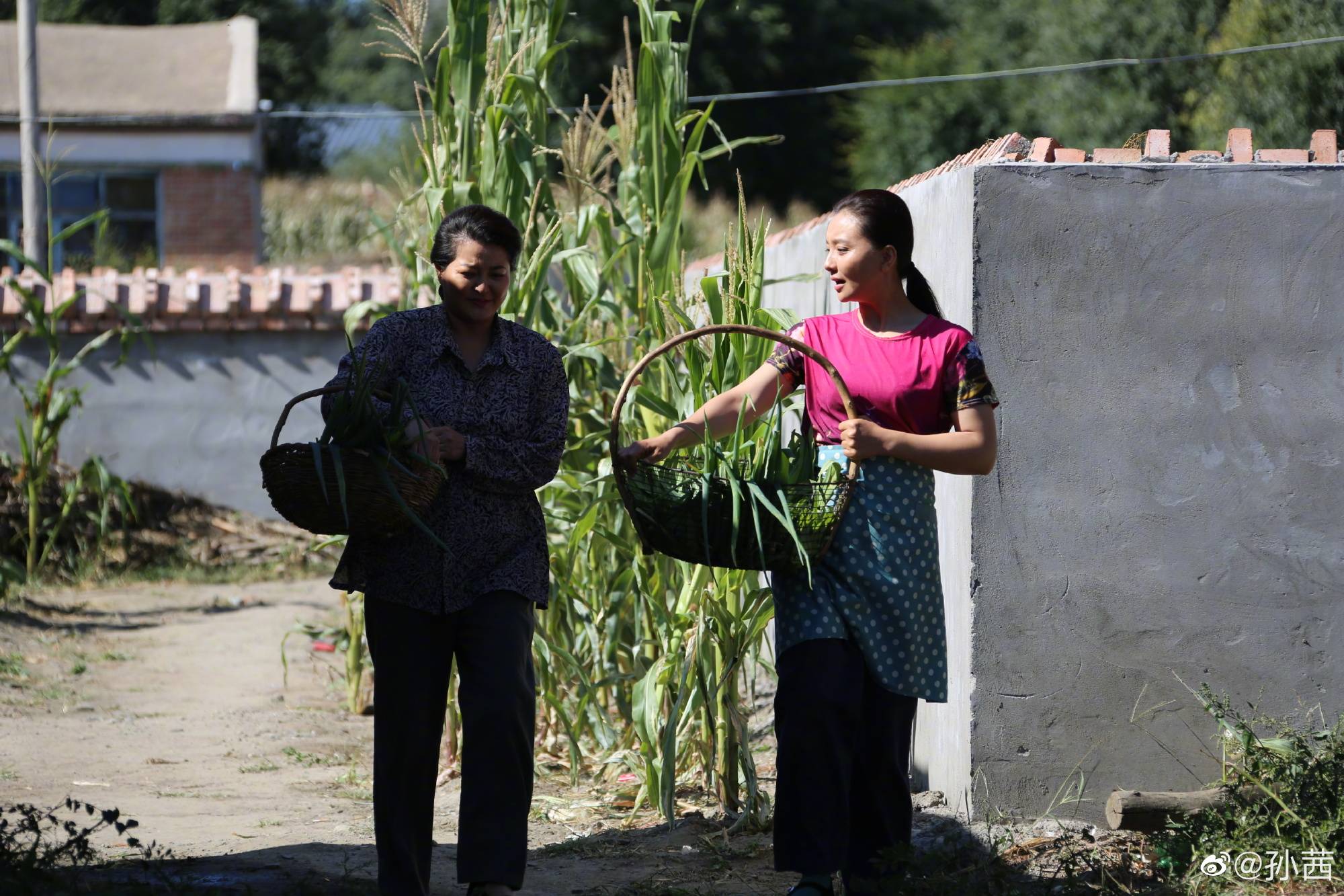 蒙古族|军人出身长相洋气的孙茜,演蒙古族农村妇女怎么看还是缺少精气神