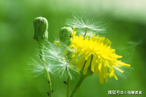 52011d9002a049bfa3b271e178001d54.png