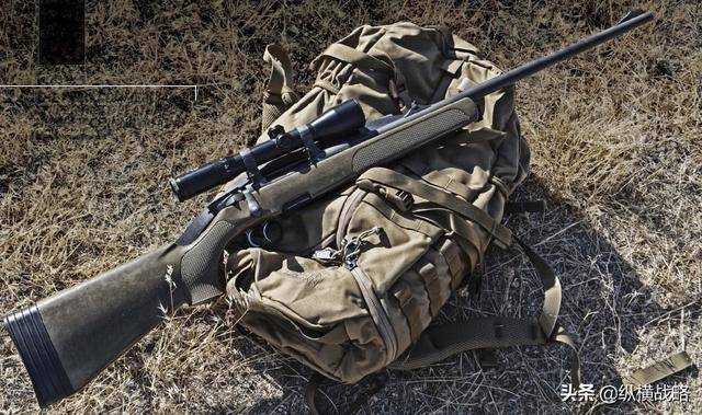 奥地利的斯太尔ssg-69狙击步枪长的有点类似"狩猎步枪"不过它却是