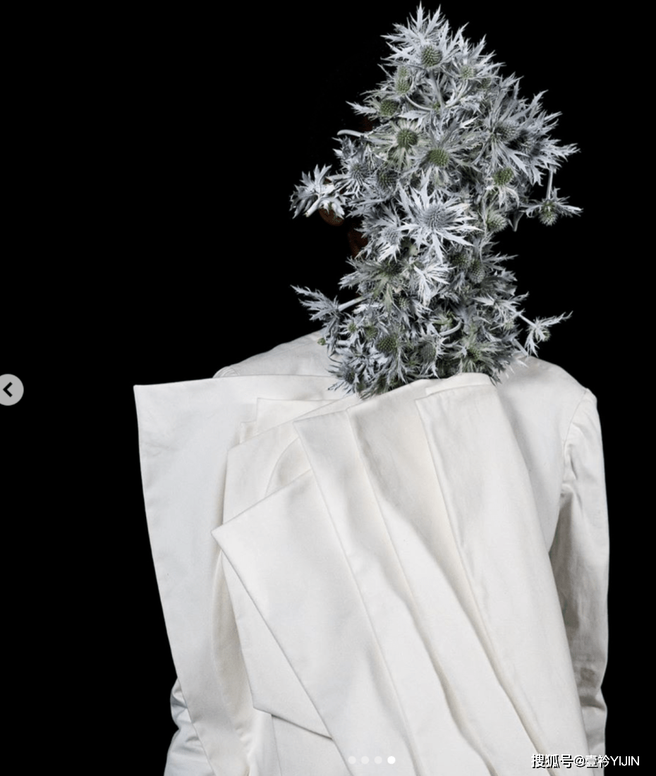 越南|被巴黎世家抄袭？把衣服种上鲜花、冻进冰块里？越南时装的高光时刻