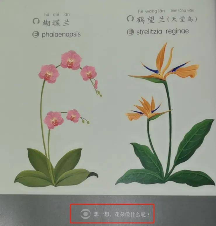 绘本|0~4岁绘本怎么挑？这套书给满分
