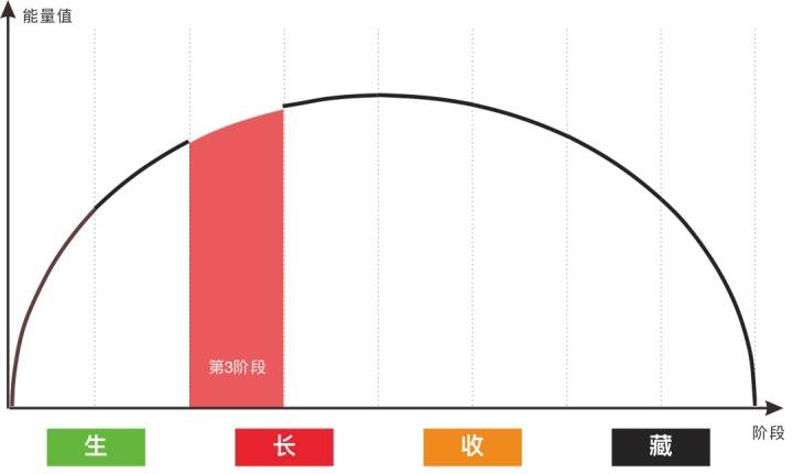 阶段|张杰彬：为什么李佳琦能够火这么久？