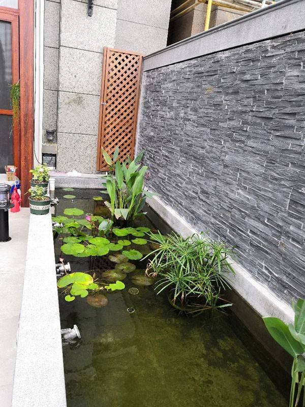 黄埔别墅阳台花园景观设计方案,采用日式风格打造全景